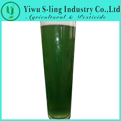 Seaweed Fertilizer 